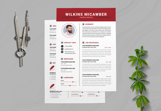 Clean Resume Template Layout