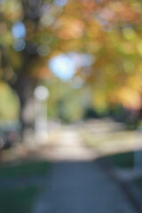 A dreamy view of a sidewalk in the park.