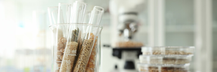Glass tubes with cereals in agricultural laboratory