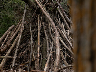 Stacked tree branches and trunks formed in a triangular shape