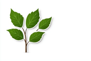 Fototapeta premium Vibrant green leaves on a simple branch, conveying freshness and nature's beauty against a white background.
