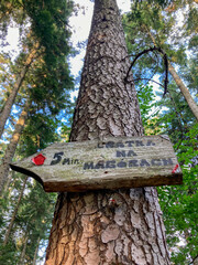 Malnik Beskid Sądecki, zachód słońca, jesień. © Maciej G. Szling