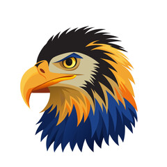 Colorful Eagle.

