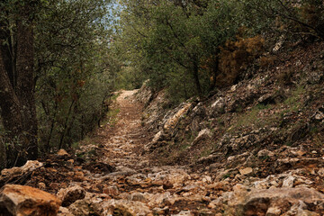 Camino de la ruta barranco del infierno en el parque natural Fuente Roja de Alcoy, Espa&ntilde;a
