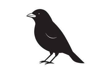 Obraz premium Scarlet Tanager silhouette bundle , Scarlet Tanager silhouette vector illustration