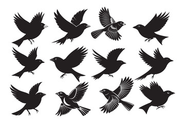 Obraz premium Scarlet Tanager silhouette bundle , Scarlet Tanager silhouette vector illustration