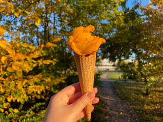 Orange sorbet ice cream in waffle cone in female hand close up in autumn garden park