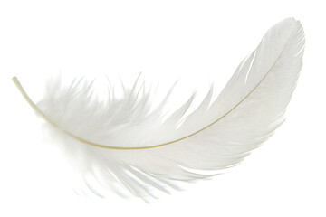 Obraz premium A delicate white feather gently resting against a clean white background, showcasing its intricate details and soft texture