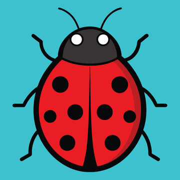 Ladybug clip art preview
