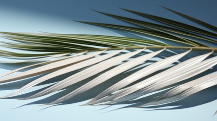 Neutral background with subtle shadows cast by palm fronds for a relaxing aesthetic