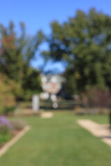 A vague view of autumn in the park