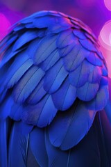 Obraz premium Vibrant Blue Feathers: Close-Up Macro Photography