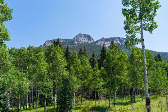 thorodin summit above woodlands at golden gate canyon state park golden colorado