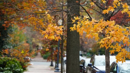 Fototapete Cappuccino The beautiful Wshington DC city view in autumn   © Bo