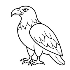 Eagle Silhouette.

