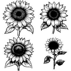 daily equipment, daily needs, graphic resource needs