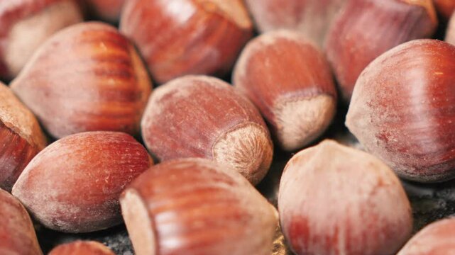 Close up on roasted hazelnuts filling the frame