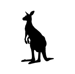 Kangaroos Vector Silhouette