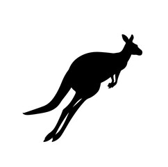 Kangaroos Vector Silhouette