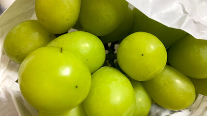 南波多町産シャインマスカット