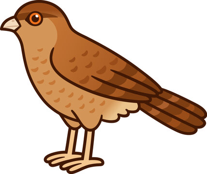 Cartoon Chimango bird drawing