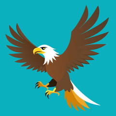 american bald eagle illustration