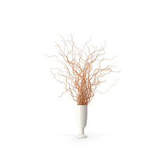 Dried plant curly willow vase background © Allen