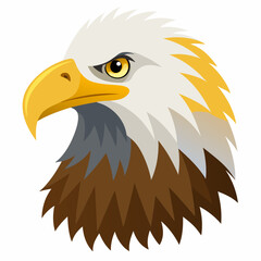 american bald eagle