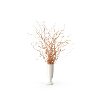 Dried plant curly willow vase background