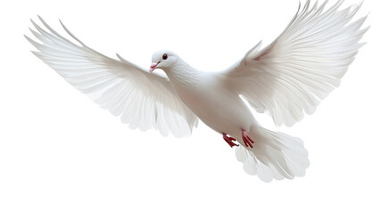 Obraz premium A peaceful white dove in flight against a clear blue sky, symbolizing freedom and love, beautifully illustrated in a vector style