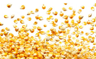 Flying corn seeds on white background.AI GENERATED