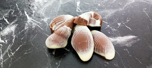 Black chocolate pieces isolated on black background. Collection.