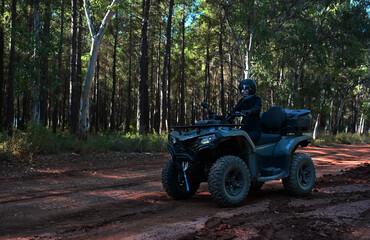 Fun safari in the jungle with ATV