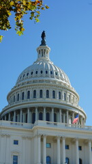Obraz premium The Washington DC city view with the Capitol Hill building as background in autumn 