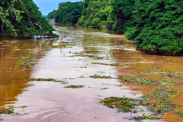 View of irrigation canal with weeds and debris flowing together with strong flowing dirty brown water due to soil and mud from forest after heavy rains and floods. La Nina crisis, Water pollution.
