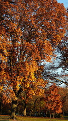 The beautiful Wshington DC city view in autumn