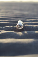 Razor shell on beach