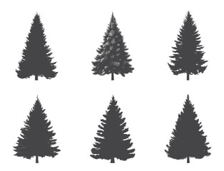 spruce tree silhouettes. nature, Christmas and New Year design elements. conifer isolated vector images