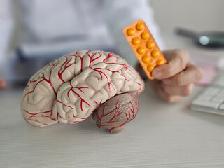 Doctor holding brain model and pills in clinic