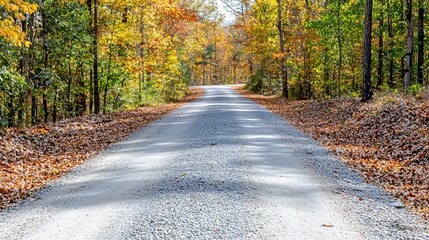 Obraz premium A serene gravel road surrounded by vibrant autumn foliage invites exploration through nature's colorful bounty.