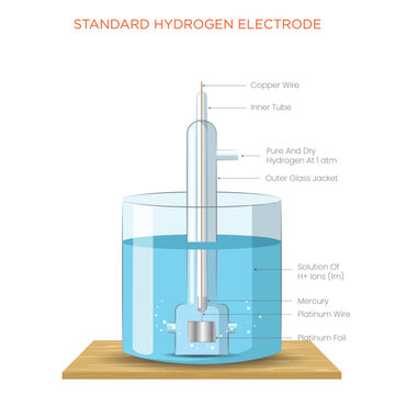 Standard Hydrogen Electrode (SHE) Reference Electrode for Measuring Electrode Potentials
