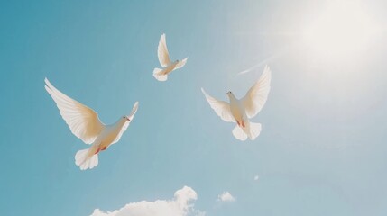 Fototapeta premium bird, dove, sky, love, Thanksgiving, Thanksgiving, pigeon, flying, blue, white, peace, wing, White doves fly in the air, sacred light shines down from above, blue background with white clouds, white 