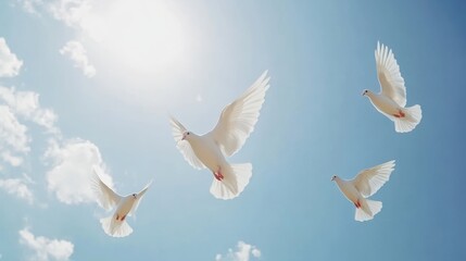 Fototapeta premium bird, dove, sky, love, Thanksgiving, Thanksgiving, pigeon, flying, blue, white, peace, wing, White doves fly in the air, sacred light shines down from above, blue background with white clouds, white 