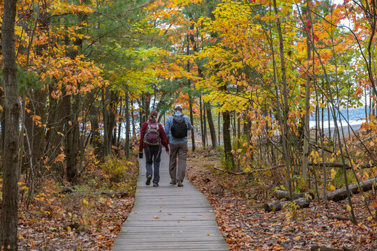 Couple of hikers with backpacks walking through the forest boardwalk trail surrounded with colorful fall forest with yellow and orange leaves. Fall season concept.