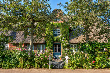 Traditionelles Friesenhaus mit Reetdach und Vorgarten auf der Nordseeinsel F&ouml;hr