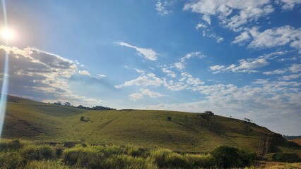Fototapeta premium eucalyptus plantation farm in sunny day in brazil countryside on dirt road