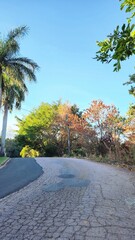 road with beautiful nature scenery and a lake