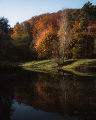 lake in the woods during autumn morning