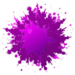 Vector Illustration bright purple color festival Holi paint powder explosion burst without background.