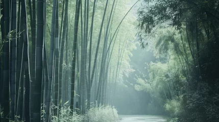 A serene bamboo forest with tall, slender stalks, soft sunlight filtering through the canopy